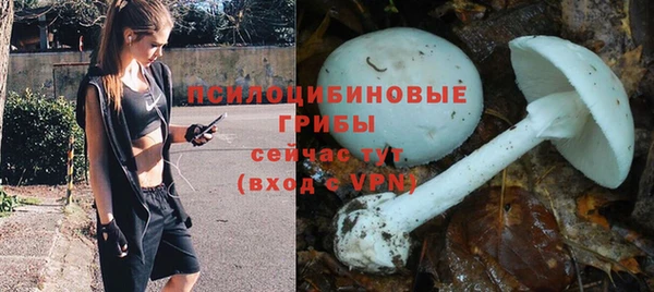 стаф Сосновоборск